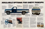 1977 Chevrolet Pickups-10
